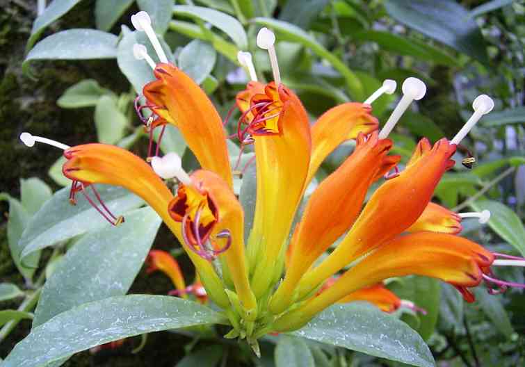 �C���[�W04