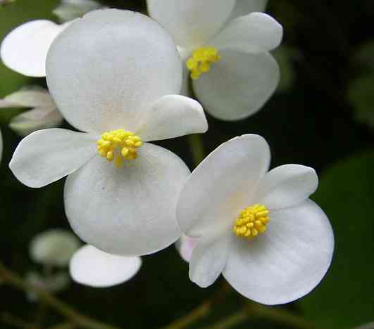 �C���[�W04