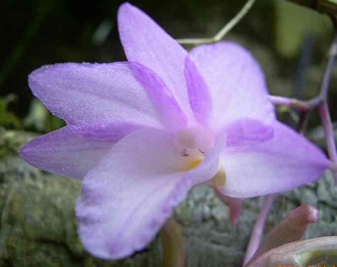 �C���[�W04