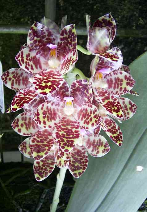 �C���[�W04