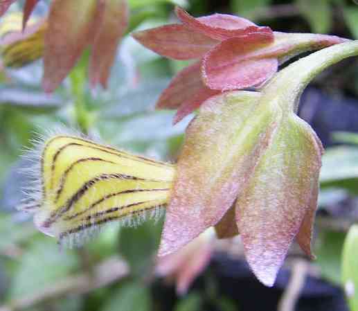 �C���[�W04