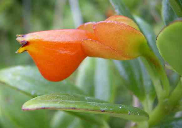 �C���[�W04