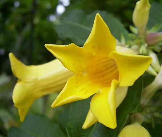 �C���[�W04