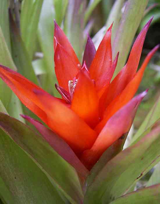 �C���[�W04