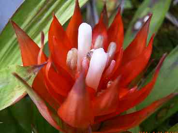 �C���[�W04