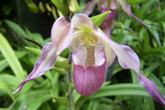 �C���[�W04