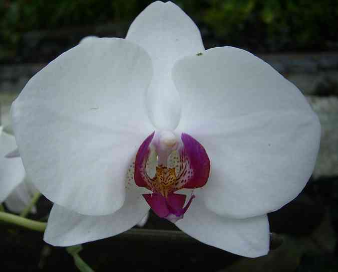 �C���[�W04