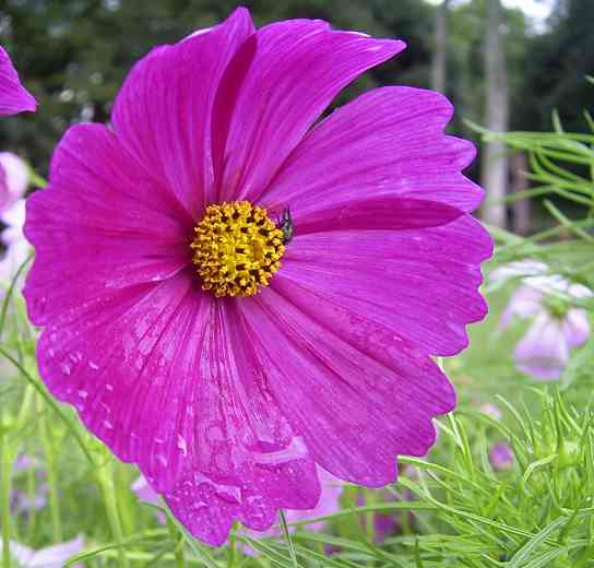 �C���[�W04