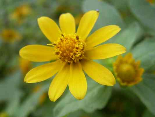 �C���[�W02